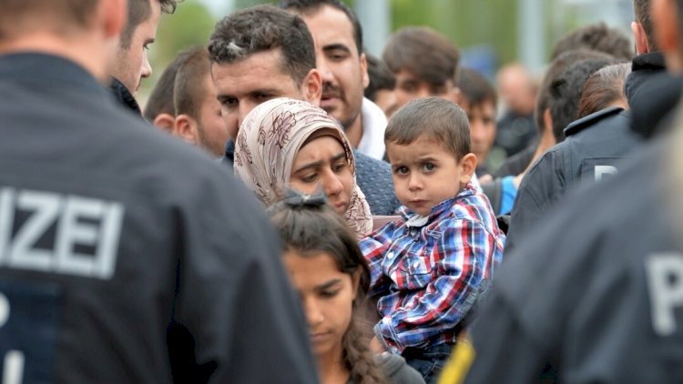    Avropadakı suriyalı miqrantların aqibəti məlum oldu   