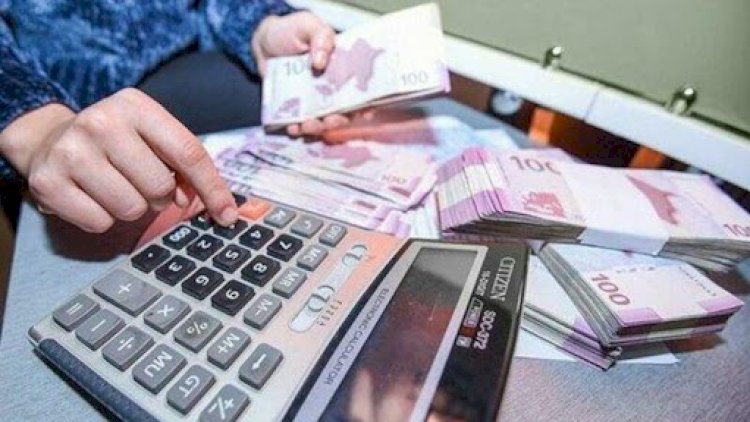    2025-ci ilin dövlət büdcəsi   QƏBUL EDİLDİ