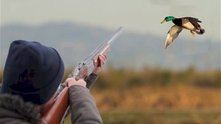    Qanunsuz ov edən beş nəfər saxlanıldı -   FOTO