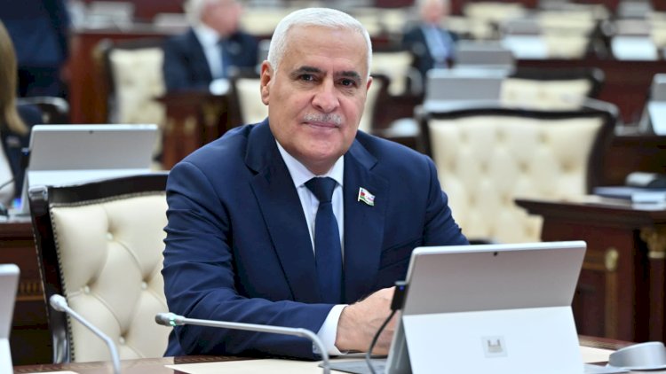    Vüqar Rəhimzadə:  D-8-ə üzvlük  daha geniş təsir imkanları qazandıracaq   