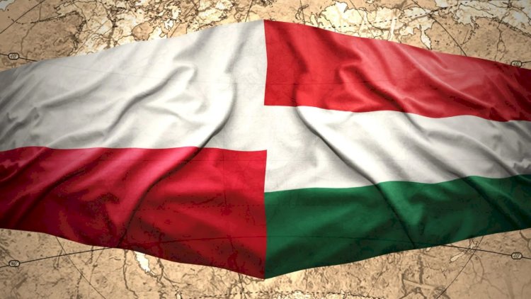    Polşa və Macarıstan bir nəfərə görə didişir   
