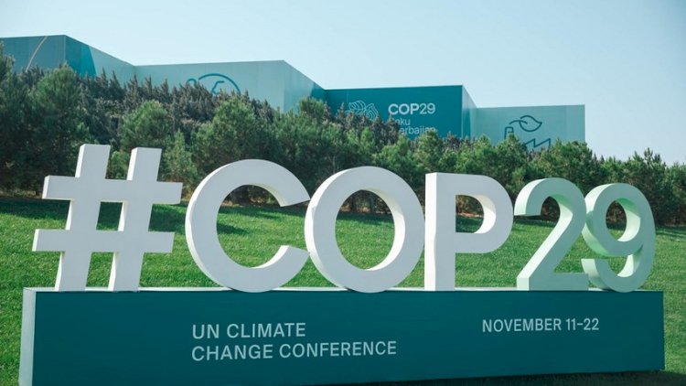    COP29 ərəfəsində Azərbaycana qarşı təbliğat aparacaq veb-səhifələr yaradılıb - HESABAT   