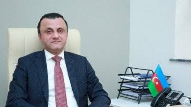    TƏBİB rəhbəri: 3 mindən çox tibbi xidmət ödənişsizdir   