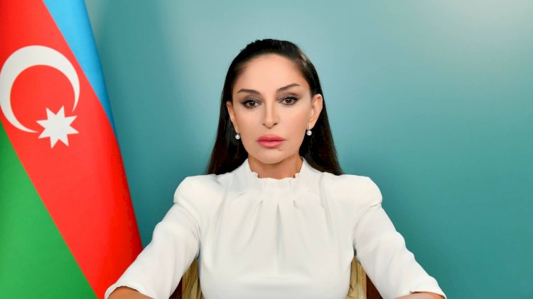    Mehriban Əliyeva  təyyarə qəzası ilə bağlı paylaşım etdi -   FOTO