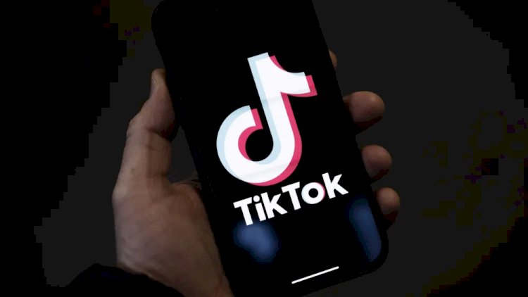    Naxçıvanda bir qrup tiktoker həbs olundu   