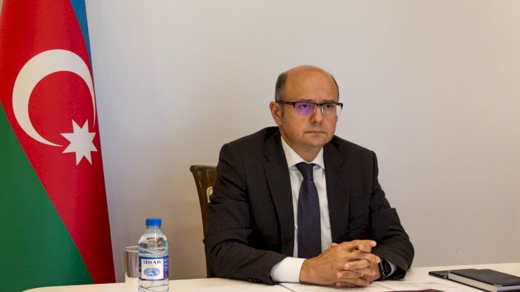    Nazirə ağır itki - Foto   