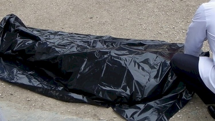    Sarayda qadın meyiti tapıldı   