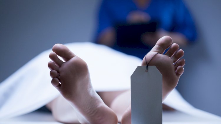    SN: Azərbaycanda orqan donorlarının sayı artıb   