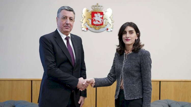    Gürcüstanın XİN başçısı Azərbaycana səfərə gələcək   
