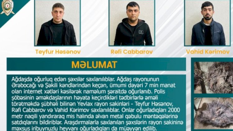    7 min manatlıq internet xətlərini kəsərək oğurladılar   