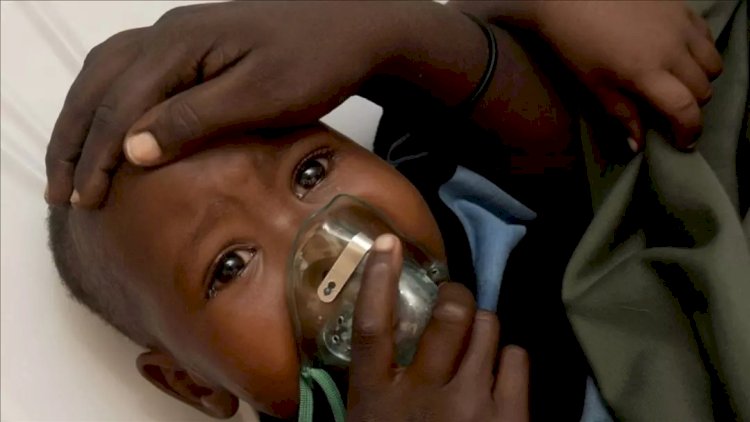    Afrikada yeni ölümcül virus yayılır   
