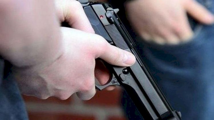    21 yaşına çatmış şəxslərin odlu silah əldə etmə hüququ olacaq   