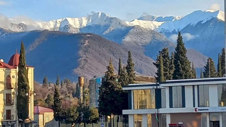    Azərbaycanda dəhşətli hadisə: Ayı qazini parçalayıb   ÖLDÜRDÜ
