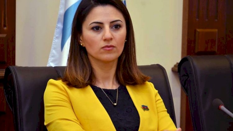    Sevinc Fətəliyeva vəzifəsini itirdi   