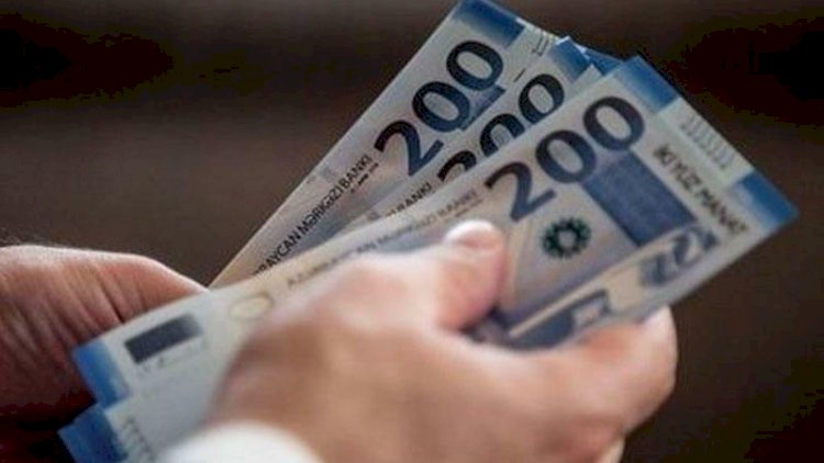    Dövlət qurumlarında maaş problemi - Bunu kim edir?   