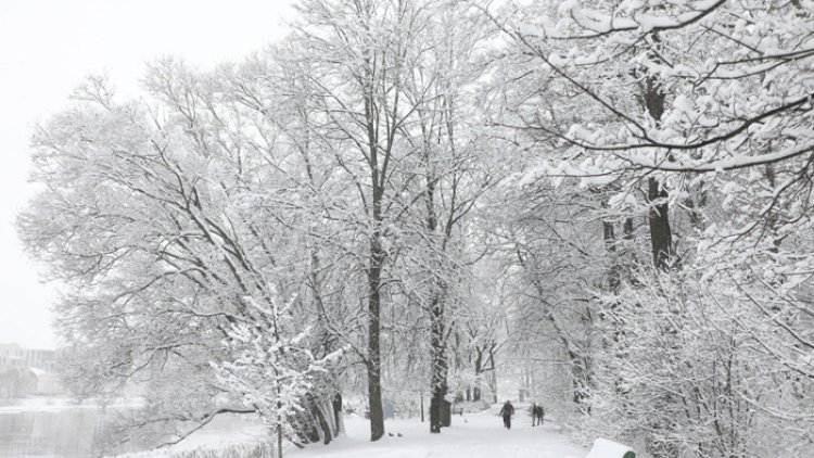    Hidrometeorologiya Xidməti soyuq havaya dair mühüm məlumat yaydı: Fevralın 8, 9...   