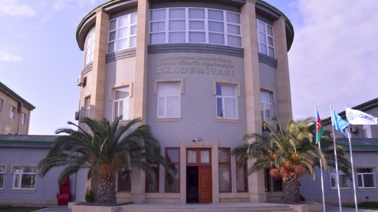    Gömrük Akademiyasına yeni müavin təyin olundu   