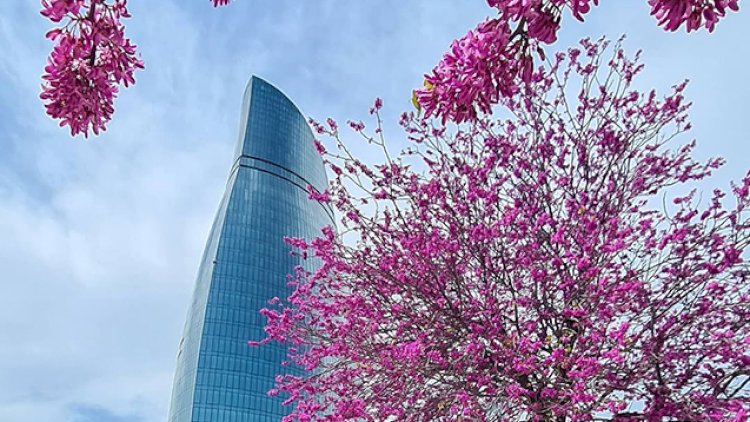    Apreldə 32 dərəcə isti olacaq - Aylıq HAVA PROQNOZU   