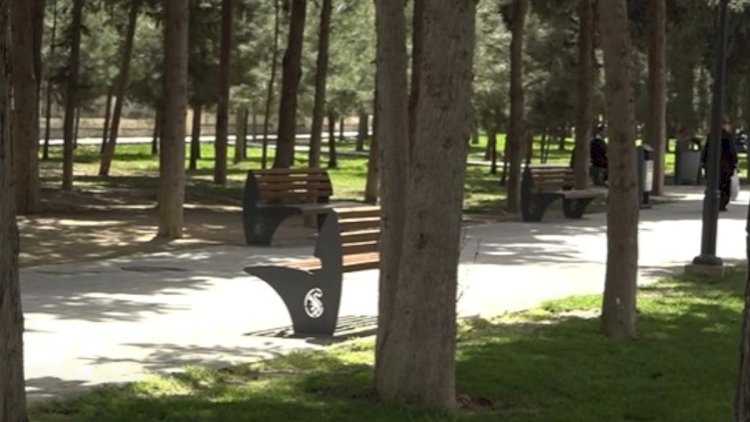    Bakıda parkda 39 yaşlı qadın öldürüldü - Hadisə yerindən görüntülər   