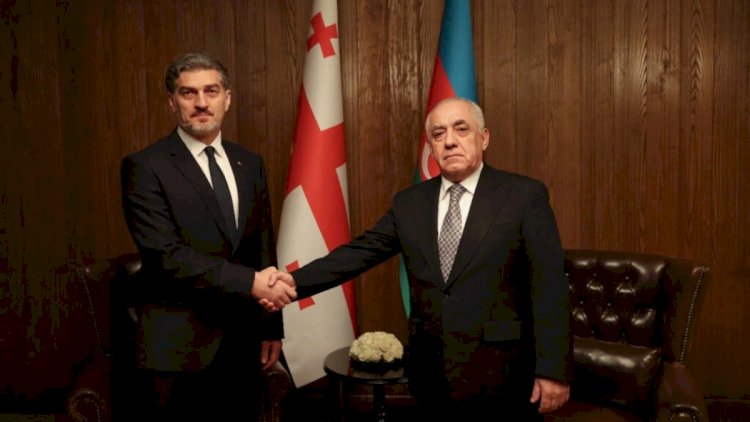    Əli Əsədov Gürcüstan prezidenti ilə görüşdü   