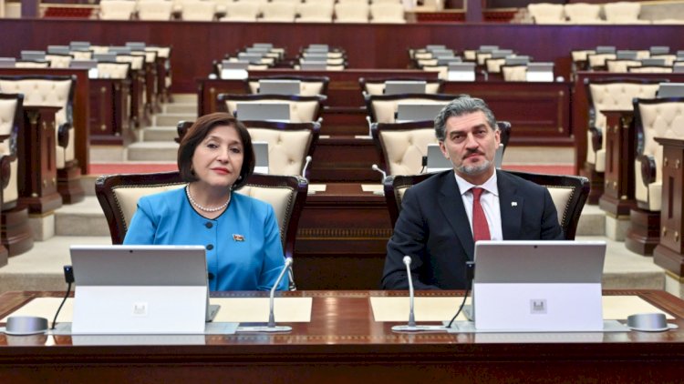    Sahibə Qafarova Gürcüstan Prezidenti ilə görüşdü   