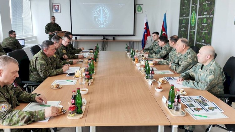   Kərim Vəliyev Slovakiyada hərbi şirkətlərin fəaliyyəti izlədi   