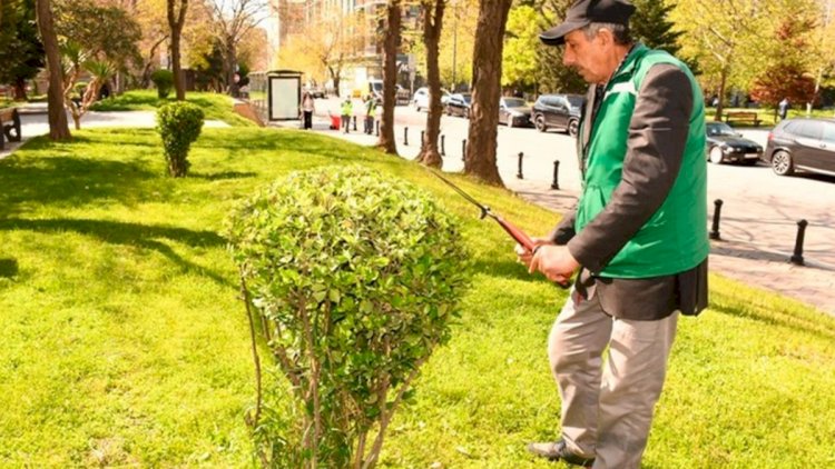    Bakıda genişmiqyaslı təmizlik işləri aparıldı   