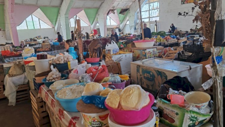    Bərdə bazarında yoxlama: Pendirdə bakteriya tapıldı   
