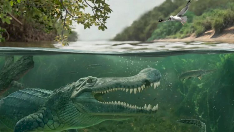    Dinozavrları ovlayan nəhəng timsahların SİRRİ   