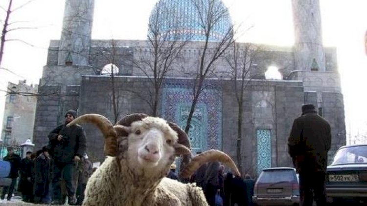    Qurban bayramı: AQTA indidən yoxlamalar keçirir   