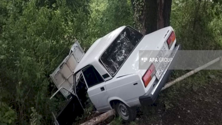    Oğuzda maşının ağaca çırpılması nəticəsində iki nəfər xəsarət aldı   