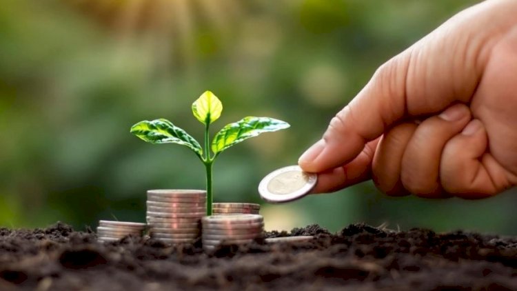    Yaşıl iqtisadiyyat böyüyür: 4 trilyon dollarlıq bazar gözlənilir   