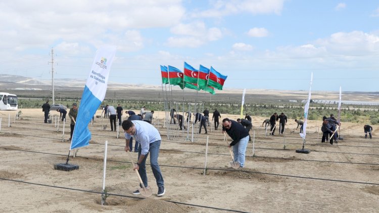    “Konstitusiya və Suverenlik İli” çərçivəsində ağacəkmə aksiyası təşkil edilib   