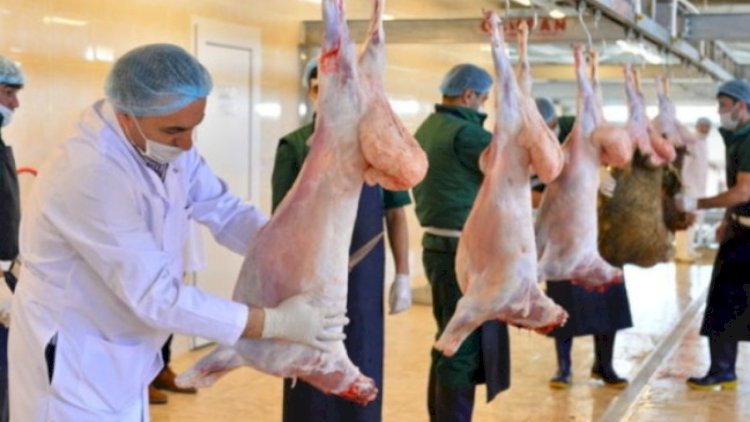    Qurbanlıq heyvanın kəsimi zamanı hansı tələblərə əməl edilməlidir? - VİDEO   
