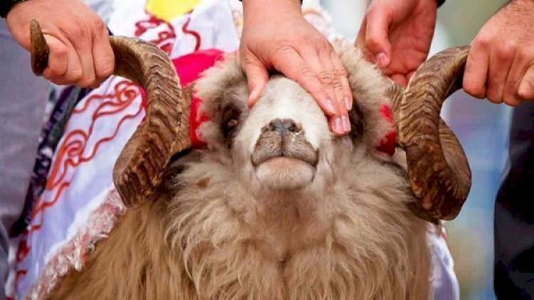   Qurban bayramında bunu etmək olmaz -   DİQQƏT!