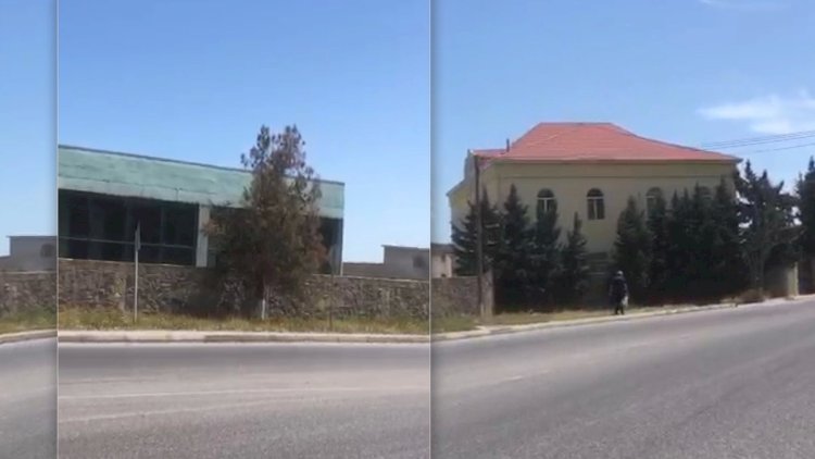    Bakıda obyekt sahibi ağacları qəsdən qurudur?   - VİDEO