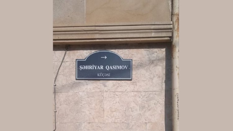   Şəhid adları verilmiş küçələrdə onların statusu niyə qeyd olunmur? -   “Nazirlər Kabineti Lermontovdadır...”