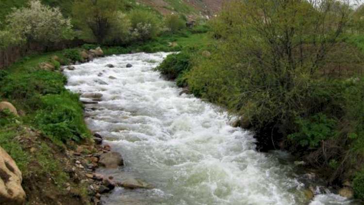    Bu çaylarda sululuq artdı   