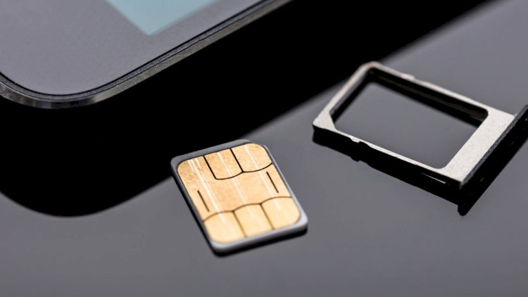    Maşın qiymətinə telefon nömrələri satışa çıxarıldı - SİYAHI   