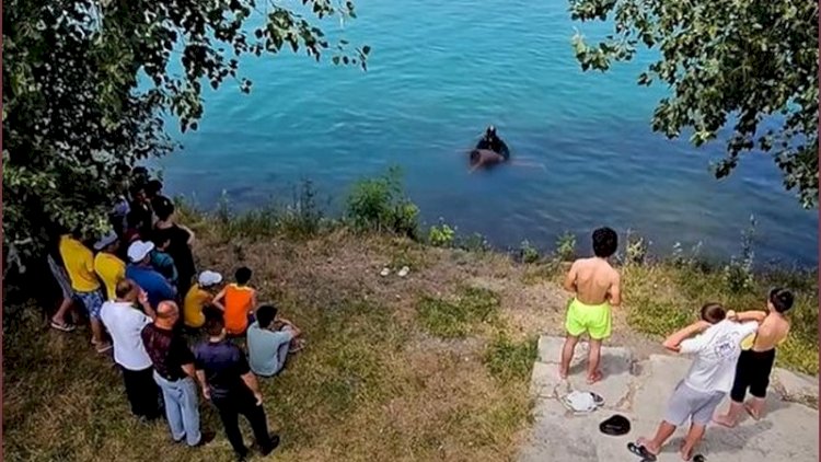    SOS! Uşaqlarımıza yeni təhlükə -   2 həftənin üzücü statistikası