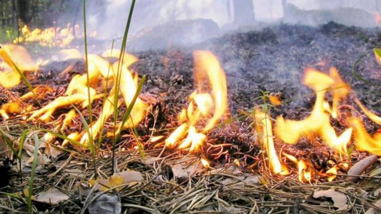    Füzulidə dağlıq ərazidə yanğın nəzarətə götürülüb   