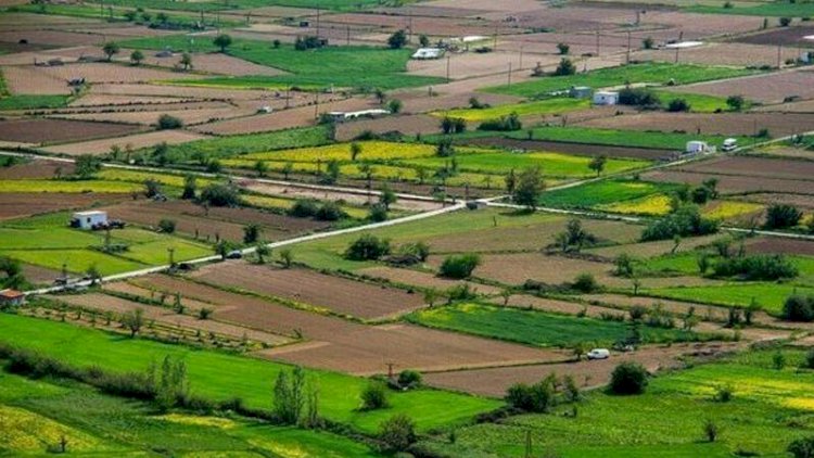    1 sot üçün 500 min - Bakıda qiymətlər artıb   