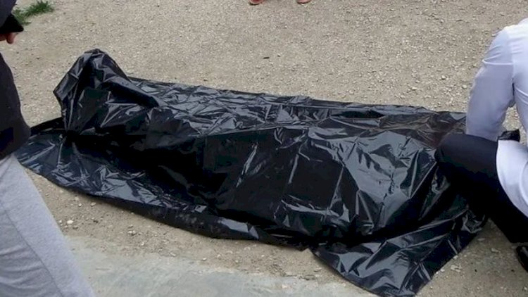    Çiyələk sahəsində meyvə alan şəxs huşunu itirib öldü   