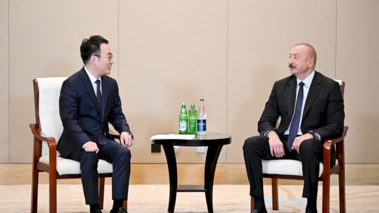    Dövlət başçısı “Powerchina group”un icraçı vitse-prezidenti ilə görüşdü   