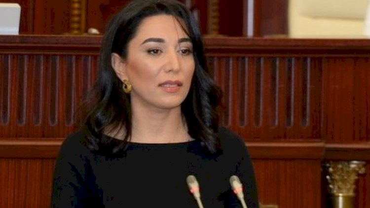    Ombudsman mina xəritələrindən danışdı   