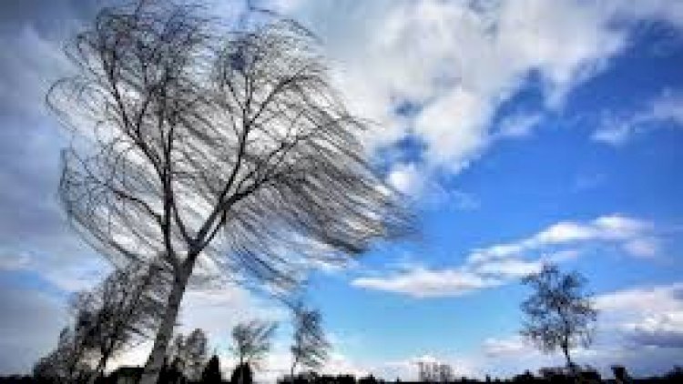    Hava yağmursuz və küləklidir - Faktiki hava   