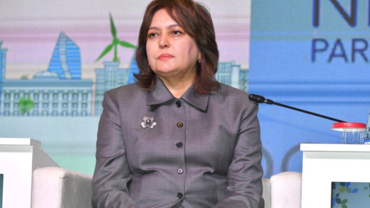    Umayra Tağıyeva: Ölkədə intensiv yağıntı hadisələrinin sayı 6 dəfə çoxalıb   
