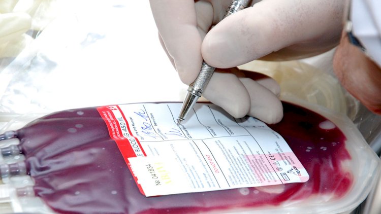    Könüllü donorların sayı artıb - Qan Bankı   