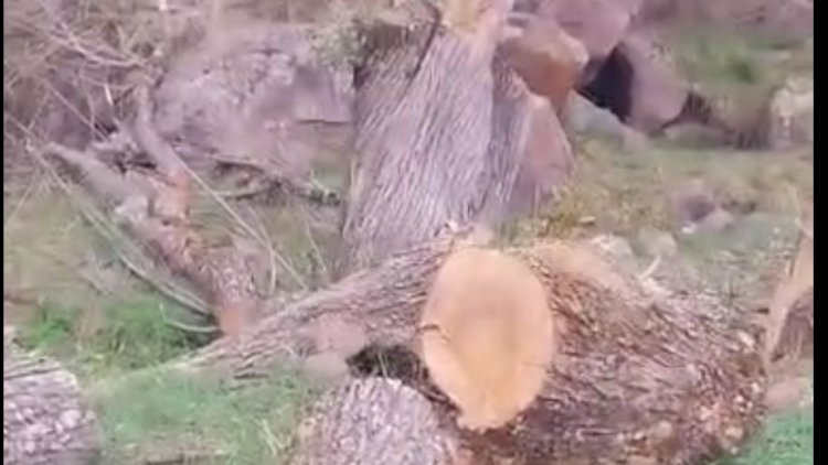    DİN Kəlbəcərdəki hadisə ilə bağlı açıqlama yaydı -   Araşdırma aparılır