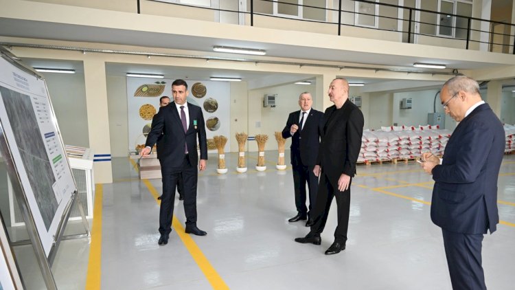    İlham Əliyev toxum istehsalı müəssisəsinin fəaliyyəti ilə tanış oldu   